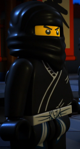 File:ThirdNinja.png