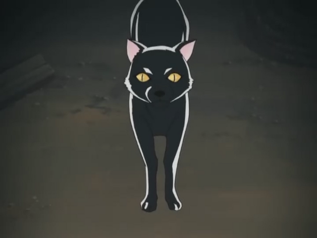 File:Nekome's black cat.png