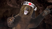 Bear