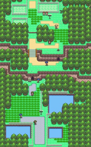 File:Route 204.png