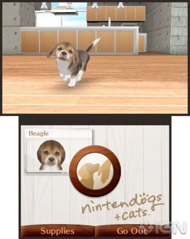 File:Nintendogs-cats-3ds-20100615050658658-000.jpg