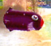 Torpedo