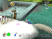 PerplexingPool