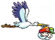 Stork