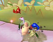 PikminPluck