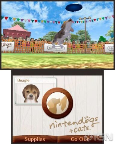 File:Nintendogs-cats-3ds-20100615050652768-000.jpg