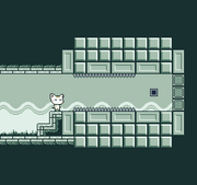KittyDream-4