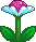Activated Flower