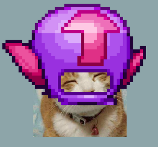 File:Headcase cat.png