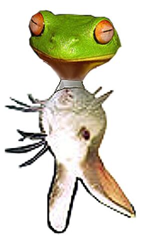 File:Real Life Ribbit.jpeg