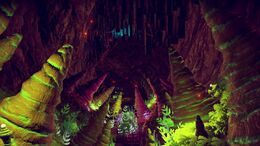 Cave3.jpg