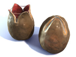 Alien Eggs.JPGd602c21e-0508-4383-9018-88fe01e1d31bOriginal.jpg