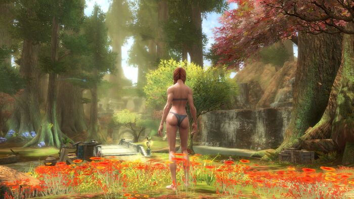 Kingdoms of Amalur- Reckoning No Hud
