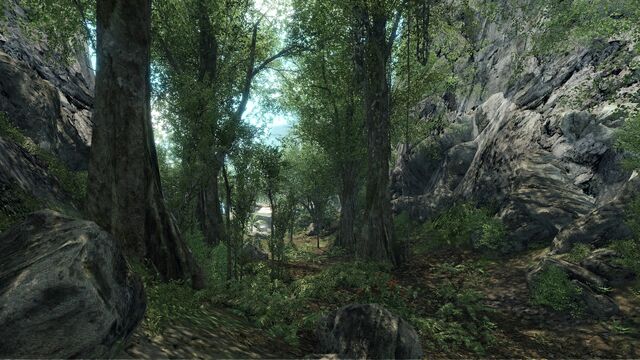 File:Crysis No Hud.jpg
