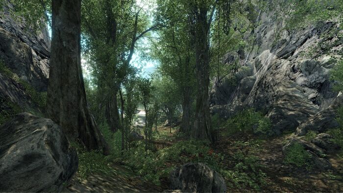 Crysis No Hud