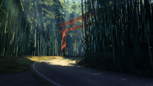 File:Shadow Warrior No Hud.jpg