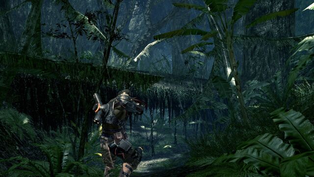 File:Lost Planet 2 No Hud.jpg