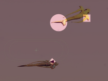 Anaiamniae Sleigeorg Morphology 2016-08-30 08-36-56 00-49-39-37