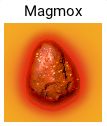 Magmox rock