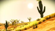 No Man's Sky 20170529155226