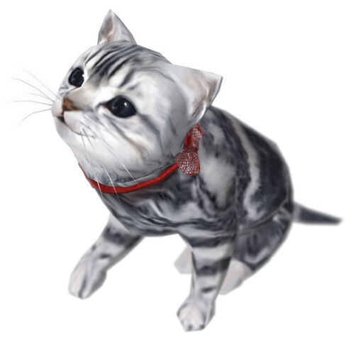 File:CatJeane.jpg