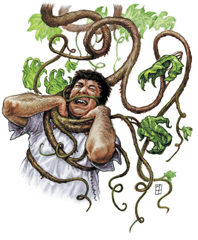 File:Assassinvine.jpg