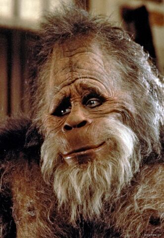 File:HarryBigfoot.jpg