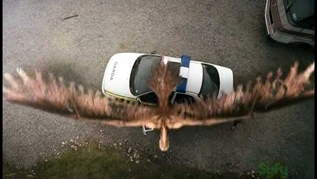 File:Roadkill.png