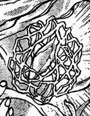 Orichalcum
