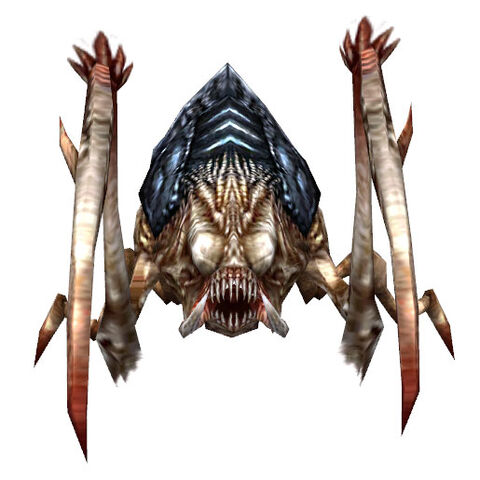 File:Scarab.jpg