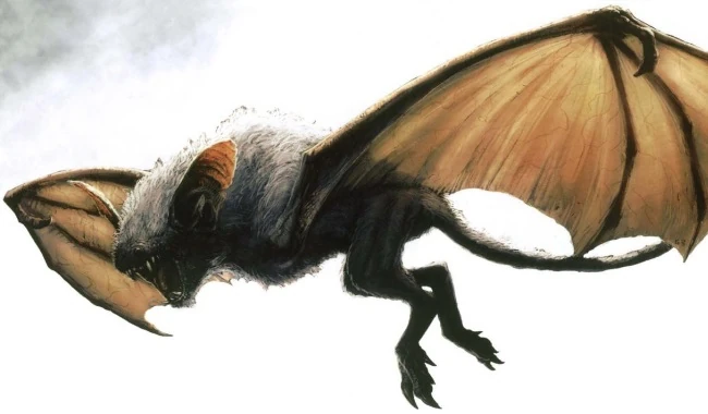 Skull Island White Bat | Non-alien Creatures Wiki | FANDOM powered by Wikia