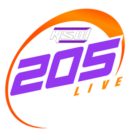 File:205 logo.png