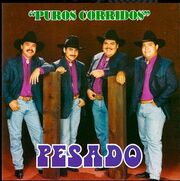 Puros corridos
