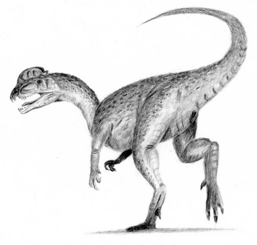 File:Dilophosaurus.png