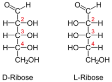 Slika:DL-Ribose num.svg.png