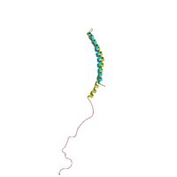 PBB Protein SNCA image.jpg