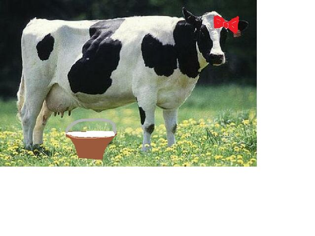 File:Linda the Cow.jpg