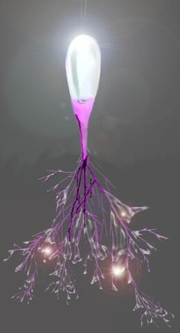 File:Eggship.jpg