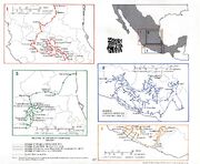 Independence campaigns 1810