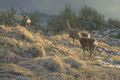 Thumbnail for version as of 12:08, June 22, 2013