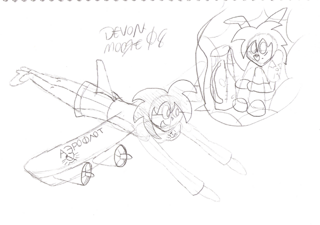 File:Cheep air fair.png