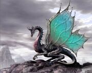 El-dragon-96193.jpeg