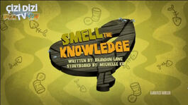Smelltheknowledgex