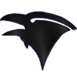 Raven