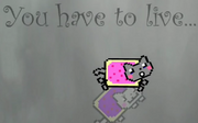 Mrs. Nyan Cat spirit