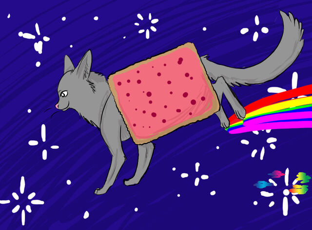 File:Nyan Cat 10.jpg