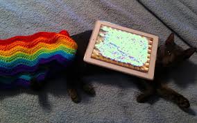 File:Nayan Cat.jpg