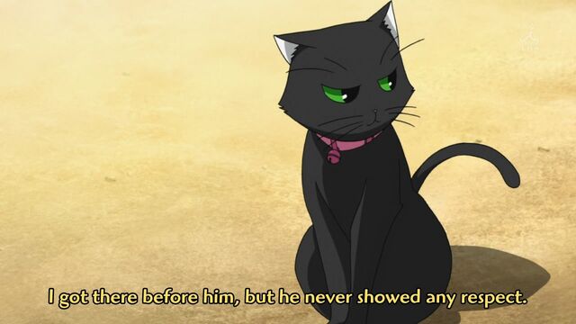 File:Nyankoi151.jpg