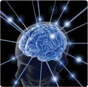 Science fair image