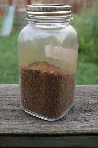 File:My-jar-of-annatto-seeds.jpg